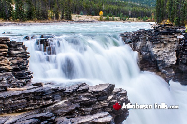 Athabasca Falls in Jasper National Park in December