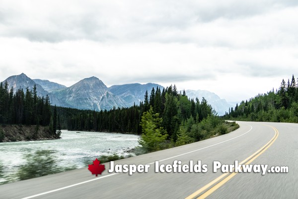 Jasper Icefields Parkway During December