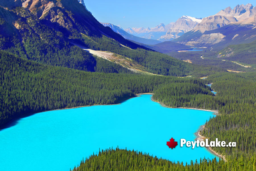December at Peyto Lake
